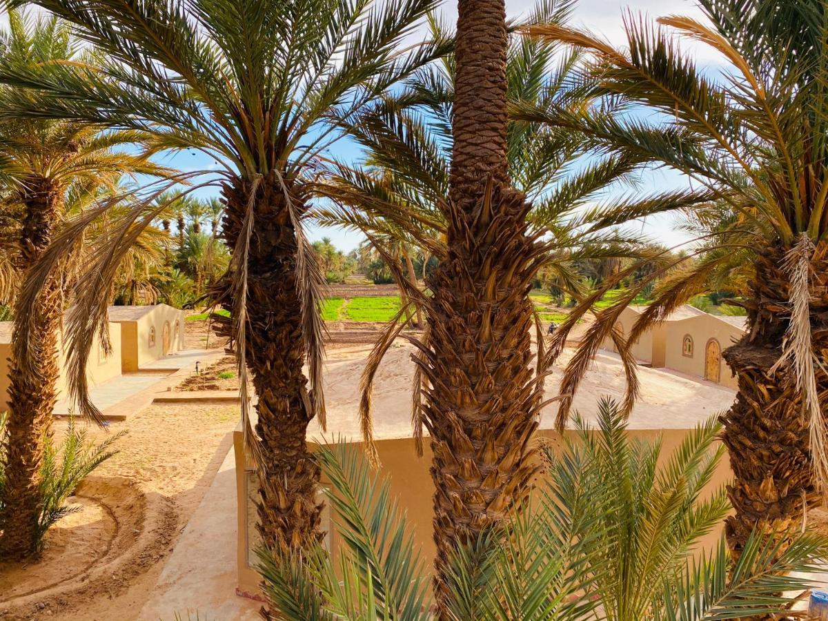 Camp Auberge Sahara Marokko M'Hamid Exterior foto