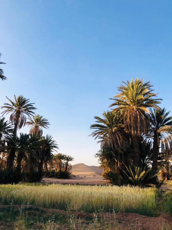Camp Auberge Sahara Marokko M'Hamid Exterior foto